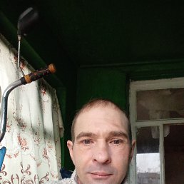 , 40, 