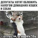 ���� �����, ������, 51 ��� - ��������� 12 ������ 2023 � ������ ������ ��������