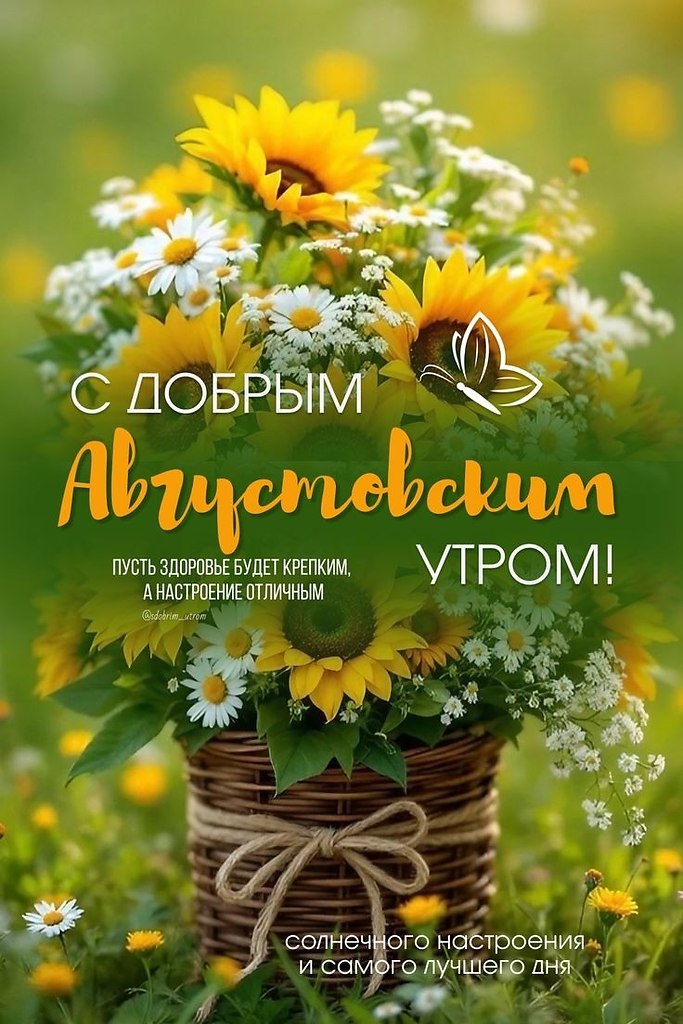 ПреЛЮДИи чувств - 12 августа 2025 в 05:44