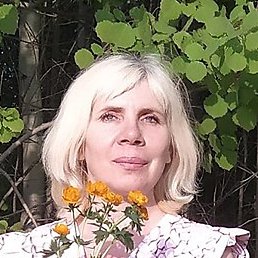 ����, ��������, 53 ����