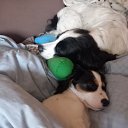 ���� ������, ������, 44 ���� - ��������� 16 ��� 2025