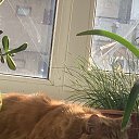 ���� ��������, ������, 57 ��� - ��������� 16 ������ 2025 � ������ ������ ��������