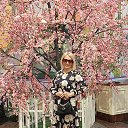 ���� �������, ������ - ��������� 1 ���� 2025 � ������ ���� ����������