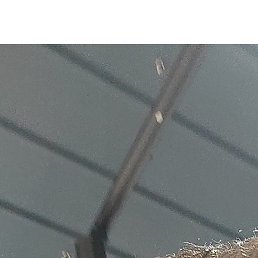 ��������, ������, 52 ����