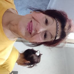 ����, ����, 71 ���