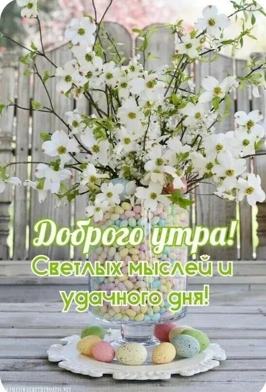 ***Victoria Viktorovna*** - 23  2025  03:40