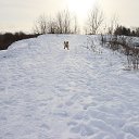 ���� ��������, ������, 38 ��� - ��������� 7 ������� 2026 � ������ ���� ����������