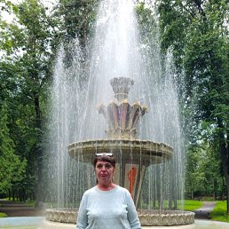 , 61, 
