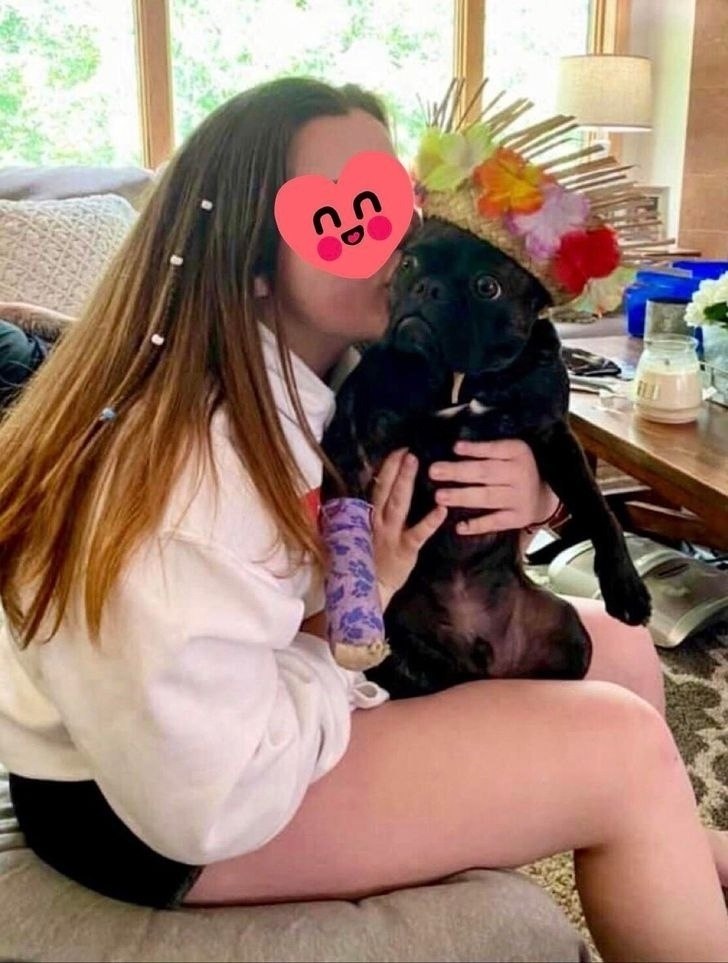 Пес моей подруги сломал лапу и купается в любви. Только посмотрите на выражение его морды