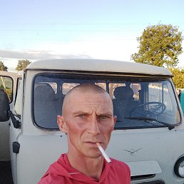 , 30, 