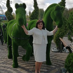 ��������, ������, 55 ���