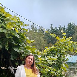 �������, ������, 59 ���