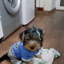 ���� ������, ����������� - ��������� 17 ������ 2025 � ������ ������ ��������