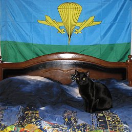 ������, ����, 45 ���