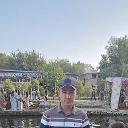 , 33, 