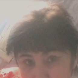 ���� ������, ���������, 62 ���� - ��������� 27 ������ 2026