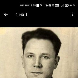 ������, 53 ����, ���������