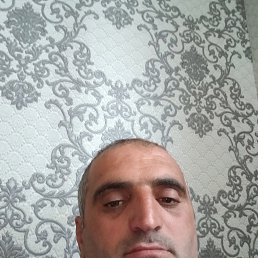 , 40, 