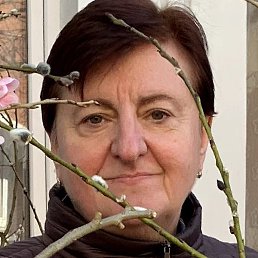 �������, �����-���������, 66 ���