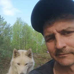 ���� �������, ������ �����, 43 ���� - ��������� 14 ������ 2026