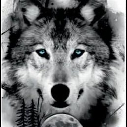 �����, ���������, 28 ���