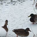 ���� ����, �����-������� - ��������� 2 ������� 2025 � ������ ���� ����������