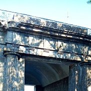 ���������, 41 ���, ������