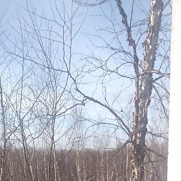 ���������, �����������, 47 ���