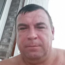 ������, �������������, 41 ���