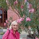 ���� Tany, ����� - ��������� 1 ������� 2026