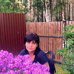 ���� ����, �����������, 48 ��� - ��������� 12 ������ 2025