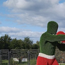 ������, ���������, 50 ���