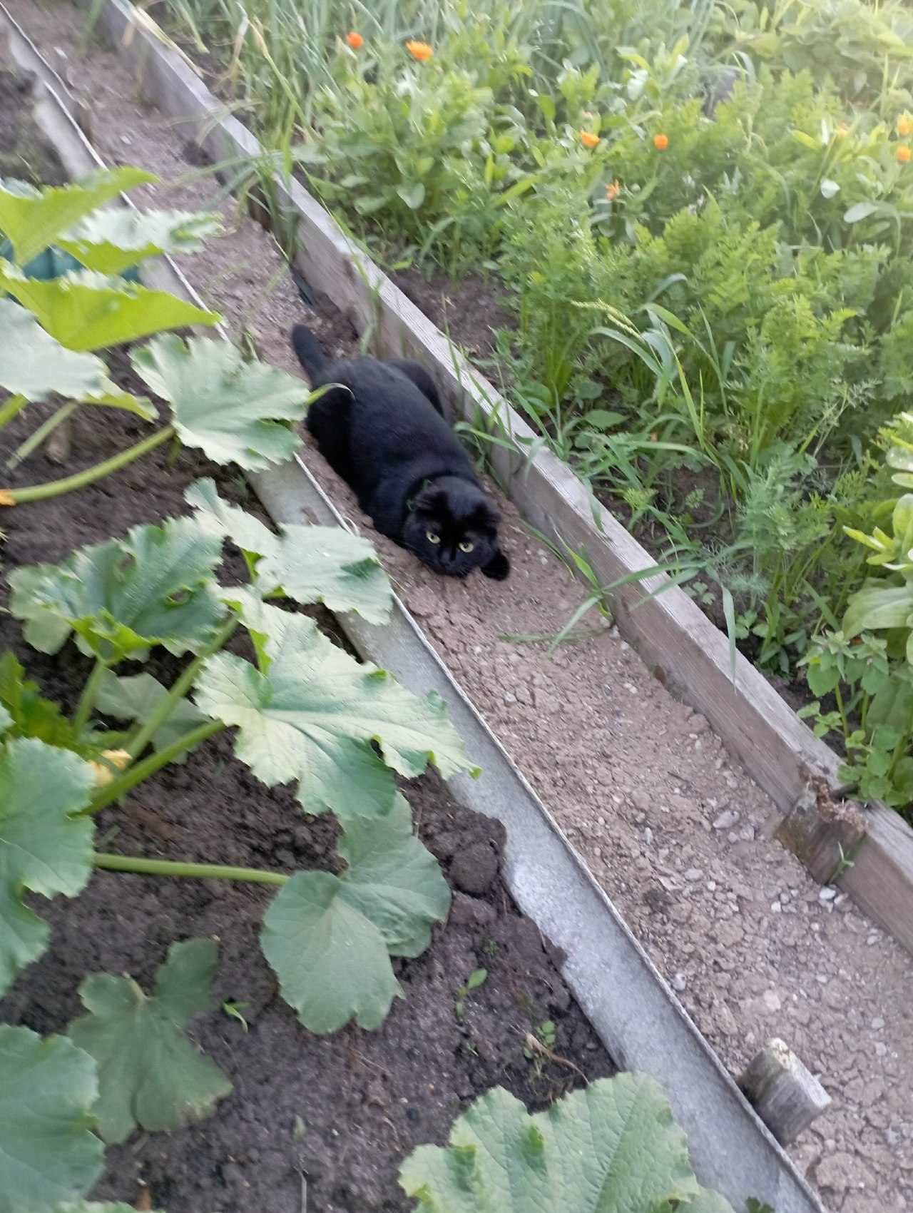 Galina - 16  2025  15:14