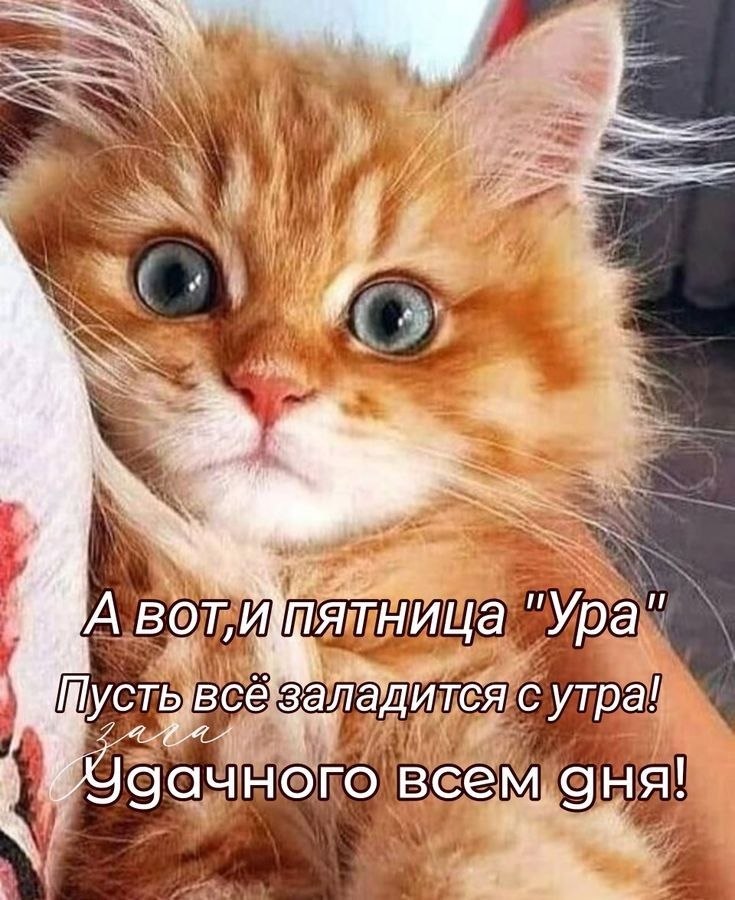   - 26  2025  14:15