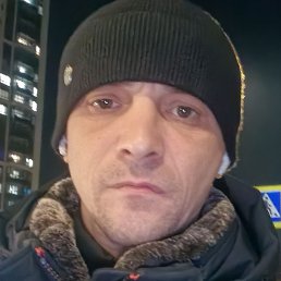 ������, �������, 41 ���