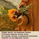���� �����, ������ - ��������� 24 ������� 2026 � ������ ������ ��������