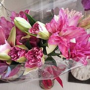 ���������, 35 ���, �����������