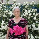  , , 51  -  26  2024   24  !!!!!!!!!!!!!!