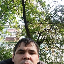 , 38, 
