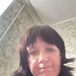 ���� �����, ������, 40 ��� - ��������� 12 ������� 2026