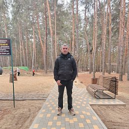 ������, ���������, 38 ���