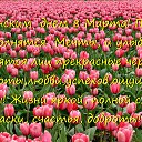 ���� �������, ������������ - ��������� 8 ����� 2026 � ������ ������ ��������