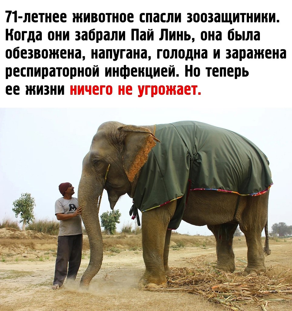 �� ��� ����� ����� ���? - 3