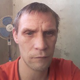 ������, ������, 36 ���