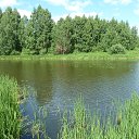 ���� ���������, �����, 55 ��� - ��������� 8 ����� 2025 � ������ ���� ���������� �����