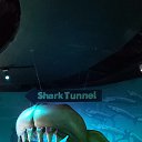 ���� �������, ������ - ��������� 18 ������� 2024 � ������ ���� ����������