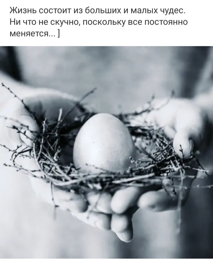 ***Victoria Viktorovna*** - 10  2025  03:23