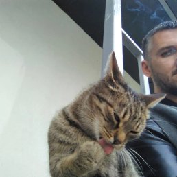 , 38, 