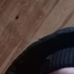 �������, ����, 38 ���