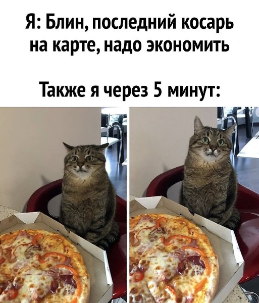  ... - 24  2025  07:12